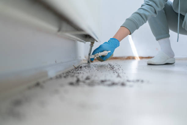 Reliable Canton, OH Pest Control Solutions